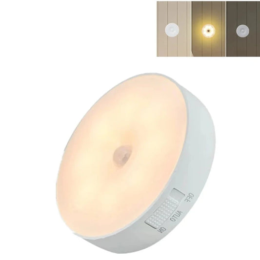 Motion Sensor Light